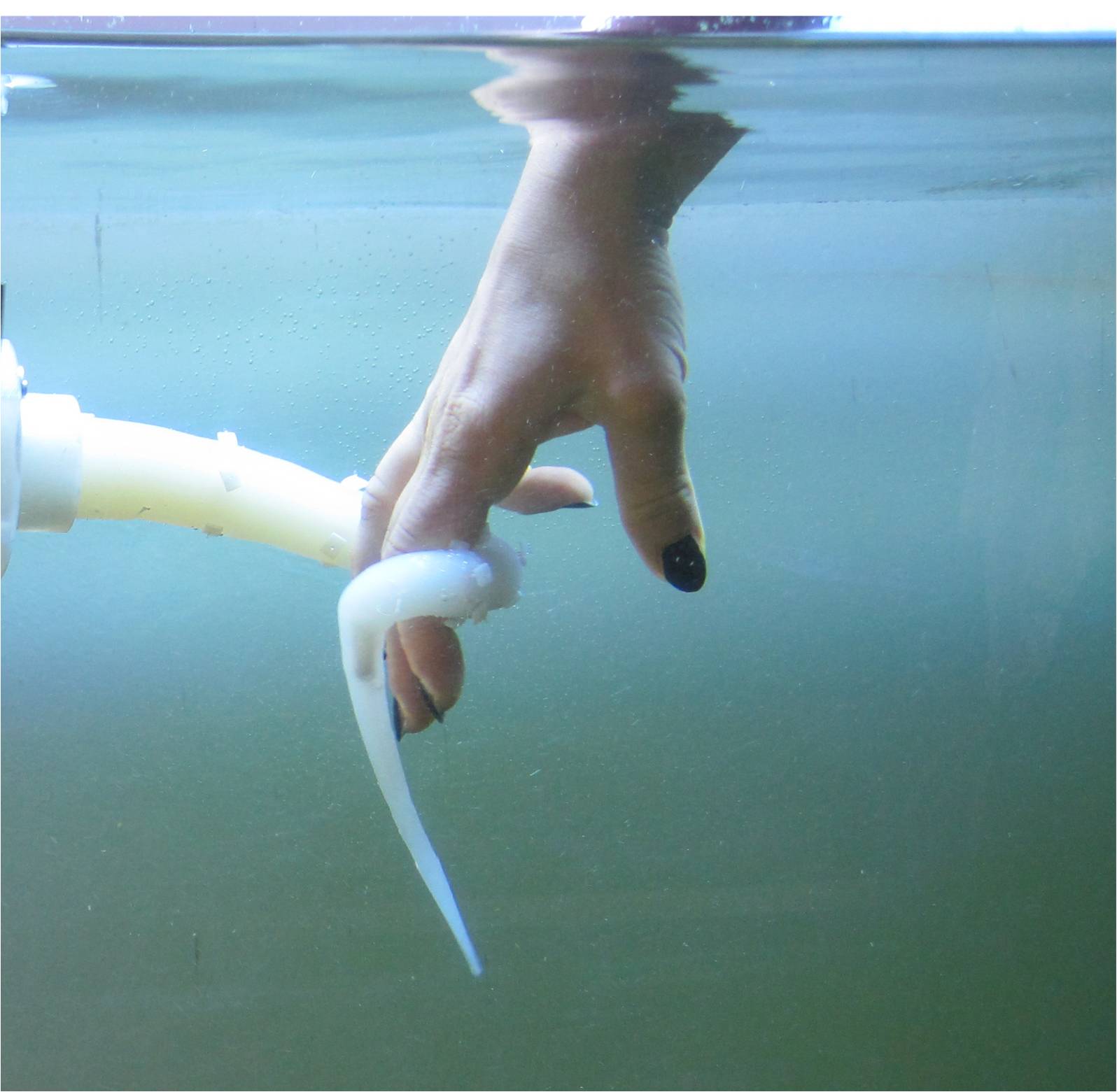 Robot Octopus Arm Grasp