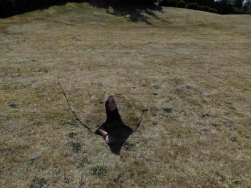 Quantum Stealth Cloak