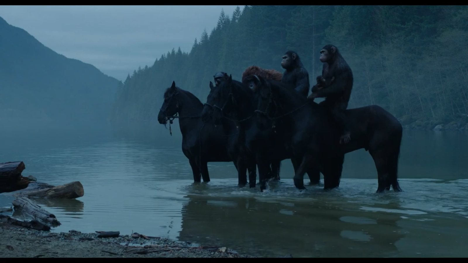 Apes horseback