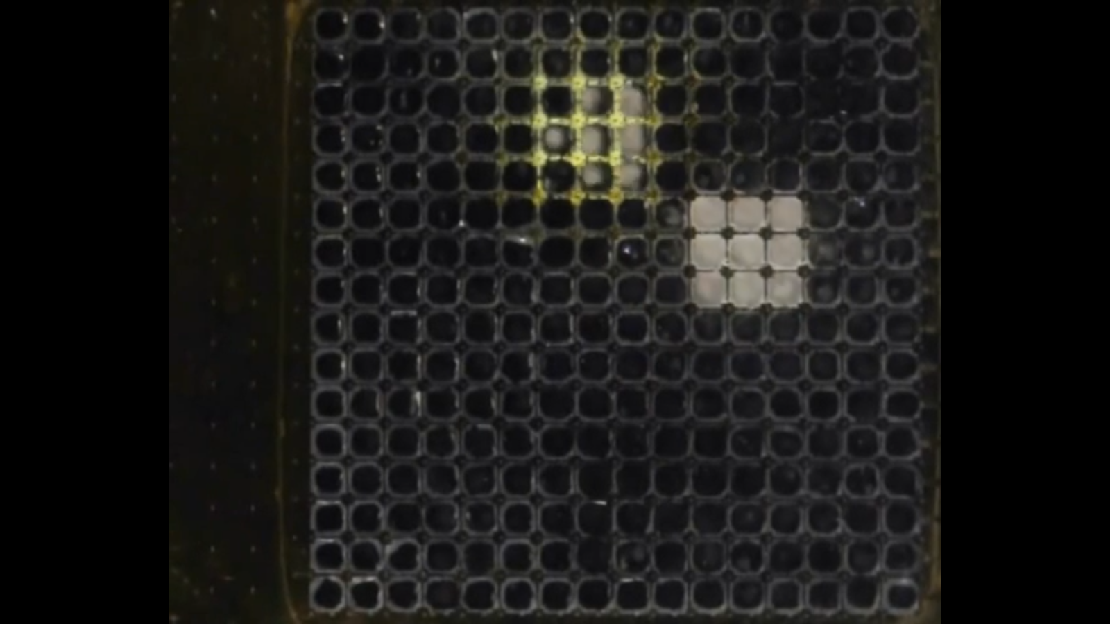 Screenshot 2014-08-21 01.46.03