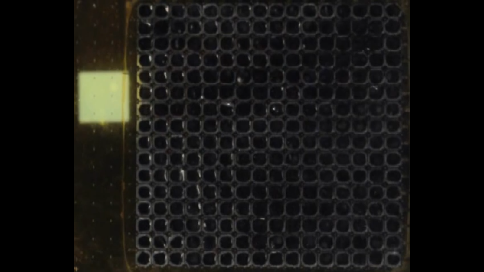 Screenshot 2014-08-21 01.46.12