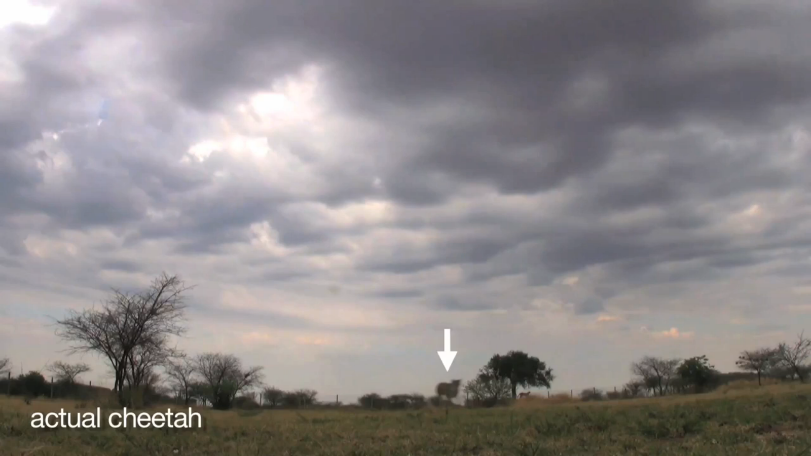 Screenshot 2014-09-18 01.04.10