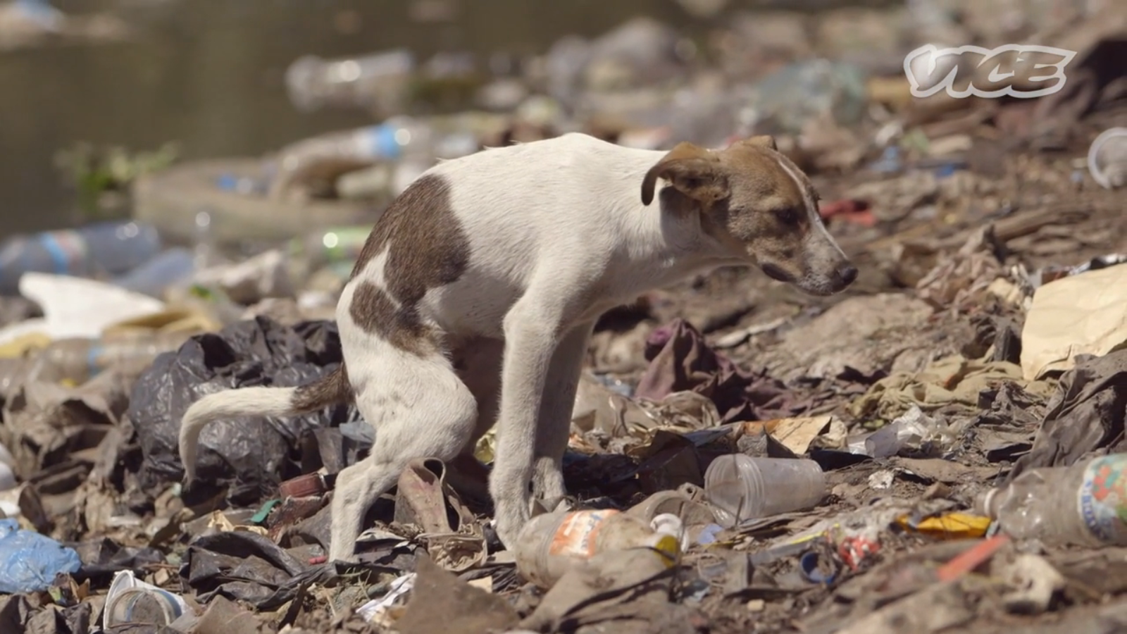 Screenshot 2014-09-25 20.31.32