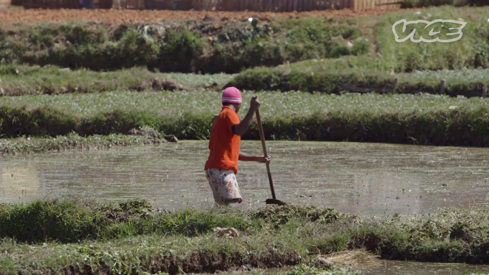 Screenshot 2014-09-25 20.31.42