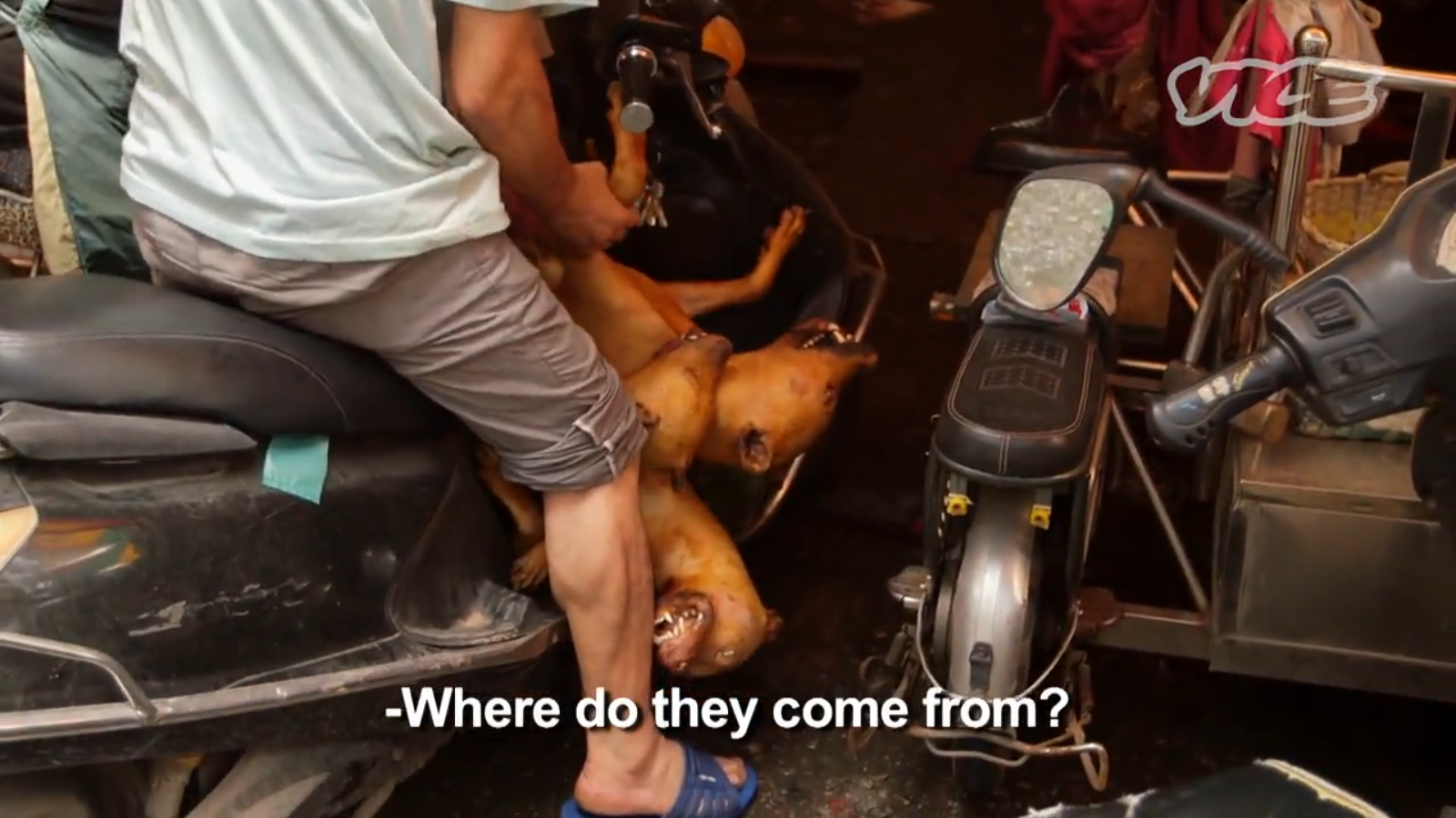 Screenshot 2014-10-19 10.38.41