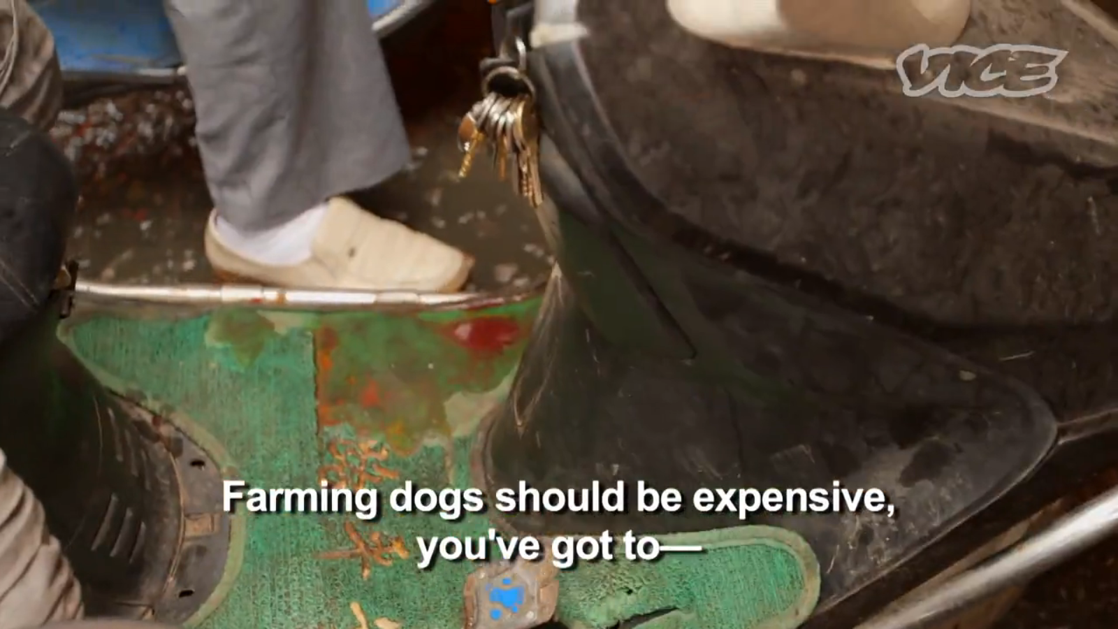 Screenshot 2014-10-19 10.38.55