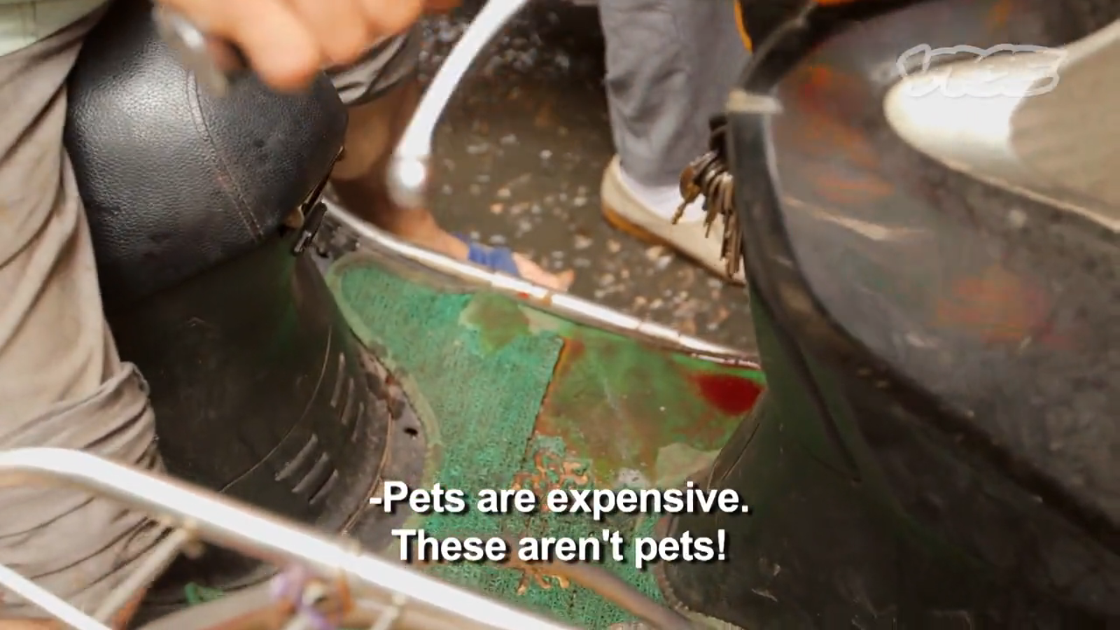 Screenshot 2014-10-19 10.38.57