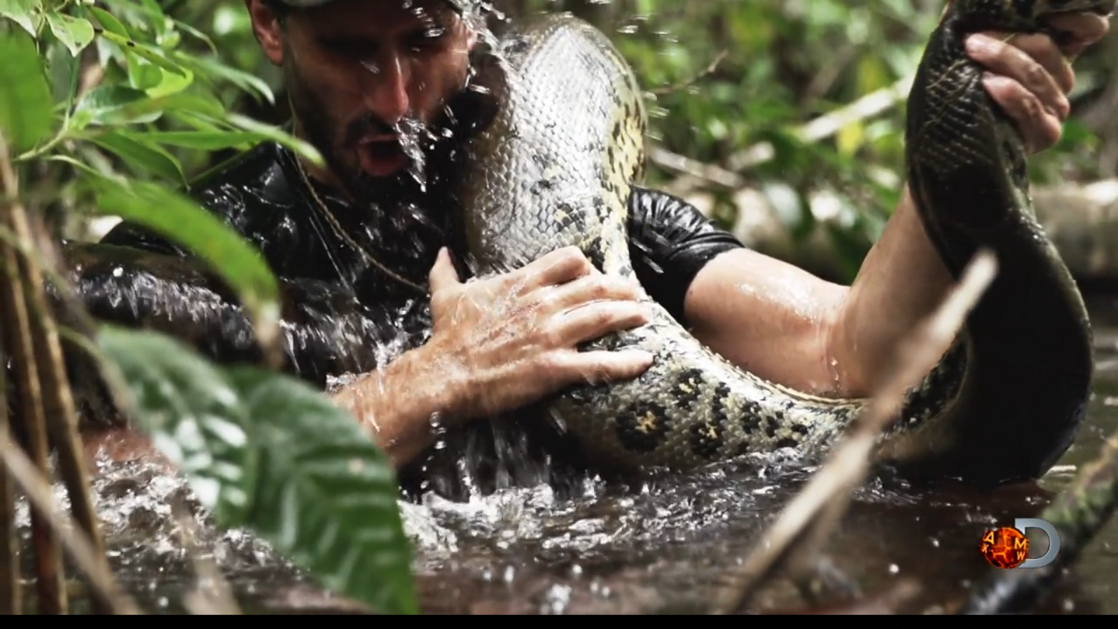 Screenshot 2014-11-10 02.35.53