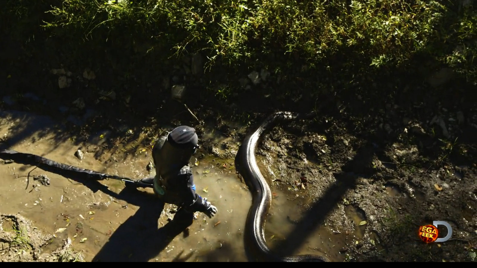 Screenshot 2014-11-10 02.36.08