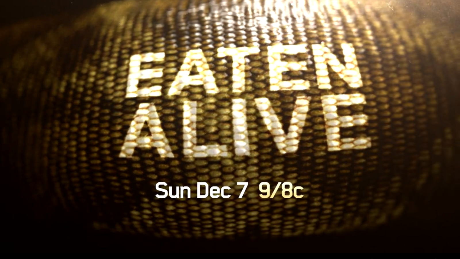 Screenshot 2014-11-10 02.36.18