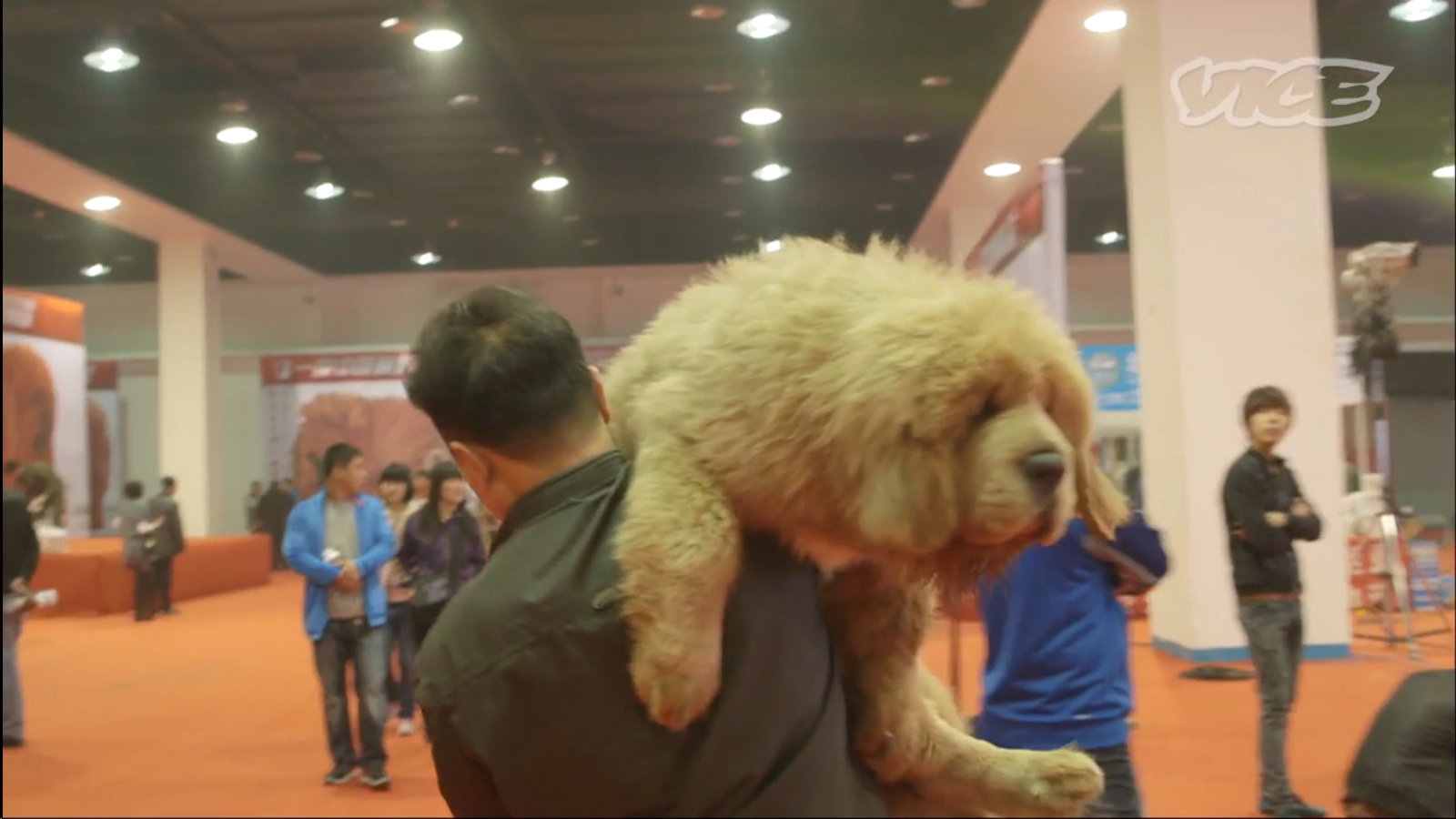 Screenshot 2015-01-12 01.20.34