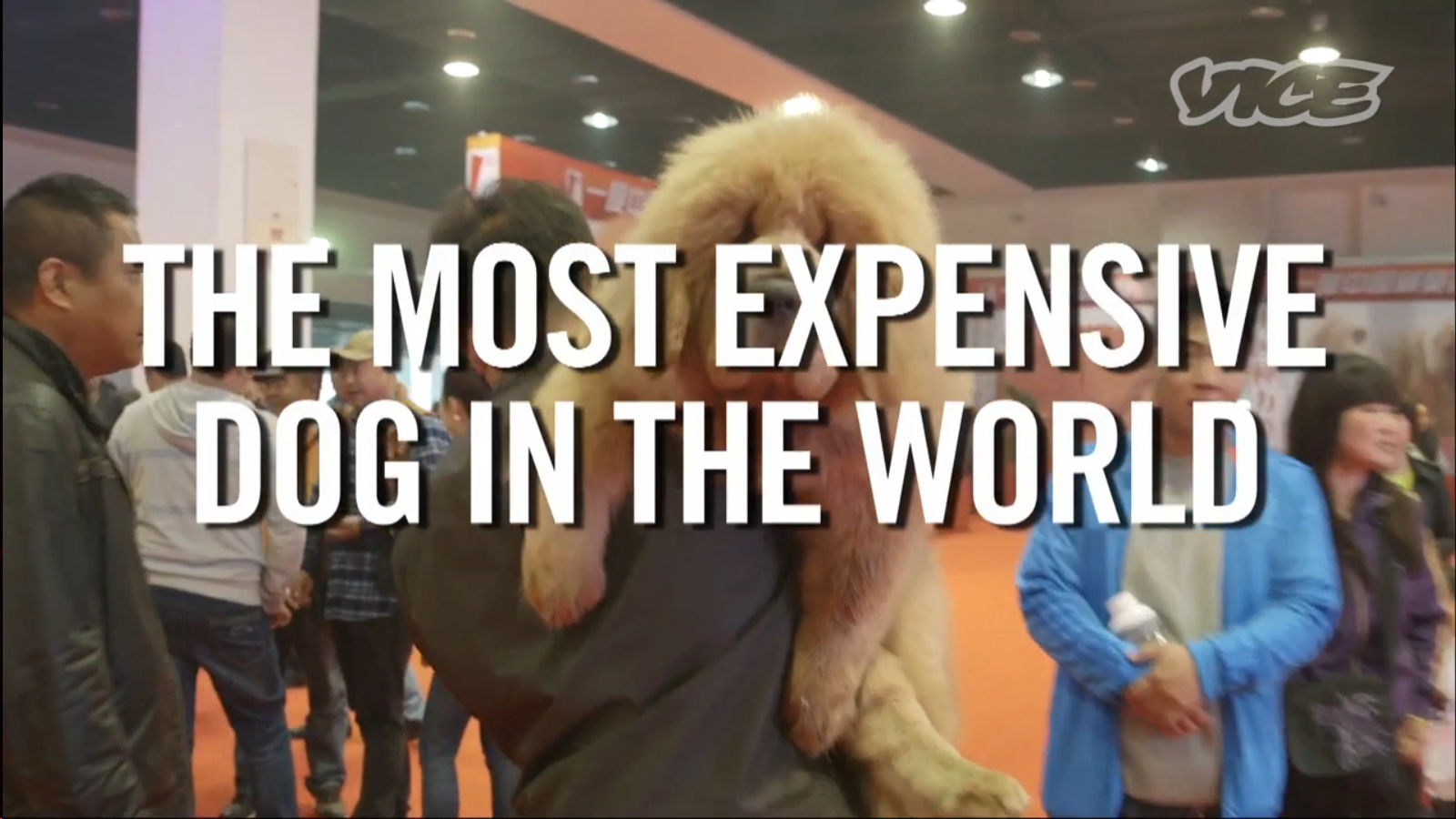 Screenshot 2015-01-12 01.20.36