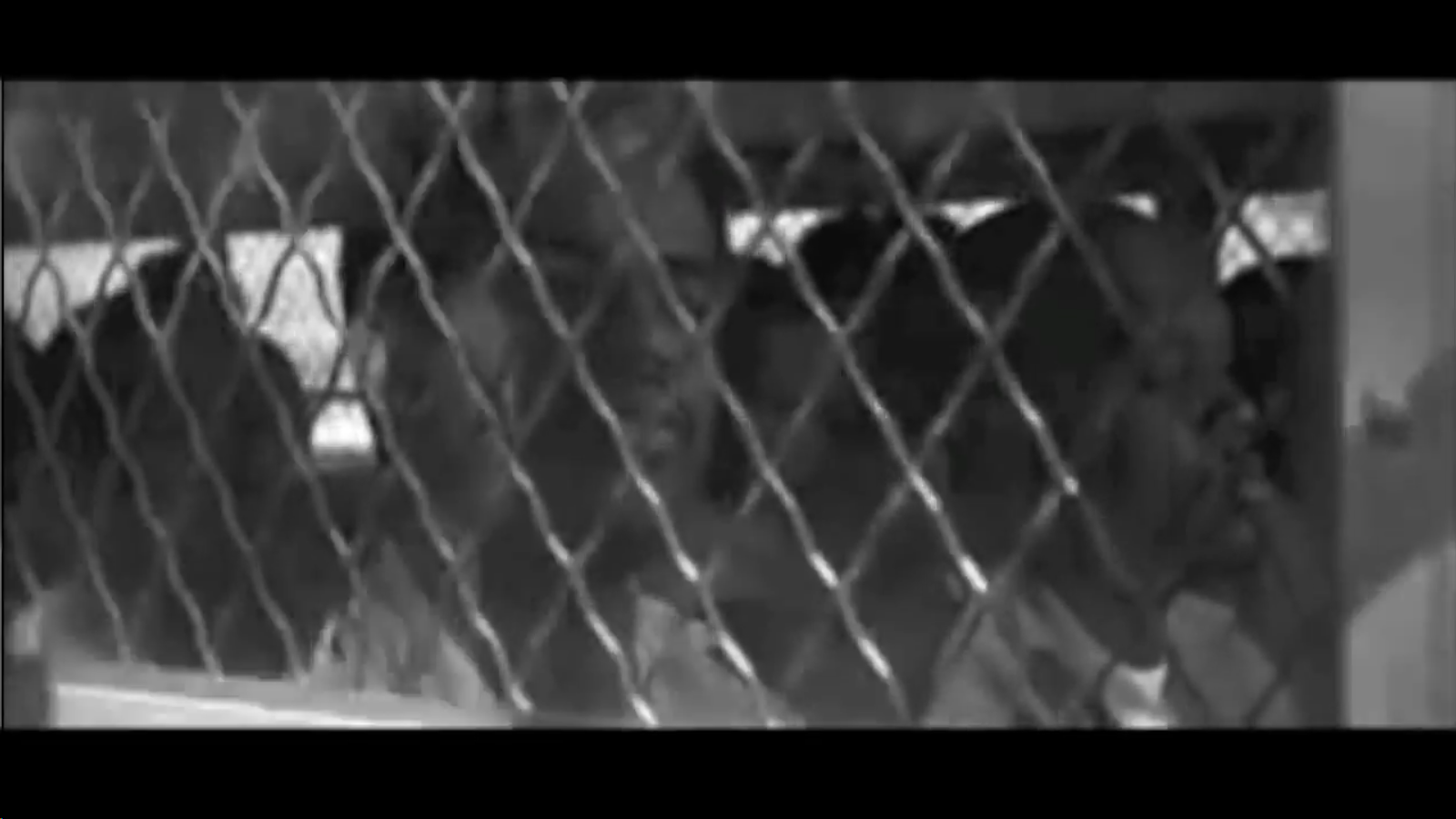 Screenshot 2015-01-13 07.12.06