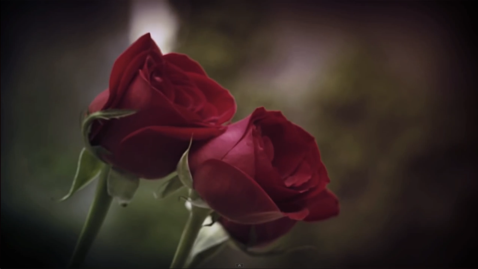 Screenshot 2015-01-31 02.44.00