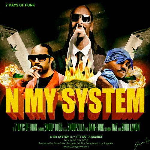 n-my-system