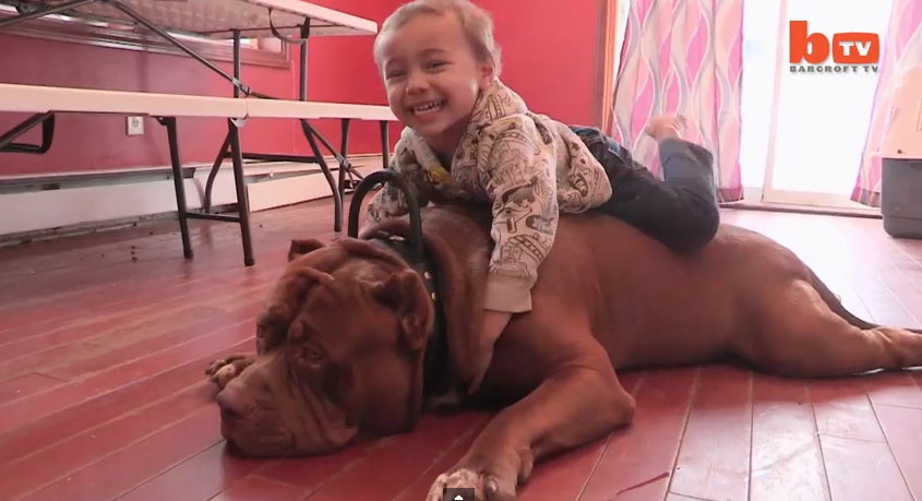 HULK KID - JAYFORCE.COM