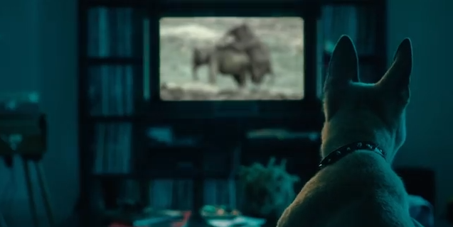 J. Cole - Dog humping Rhinos