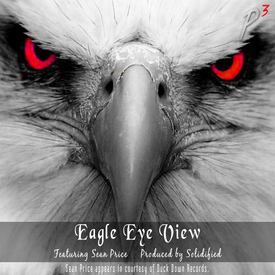 Eagle-Eye-View