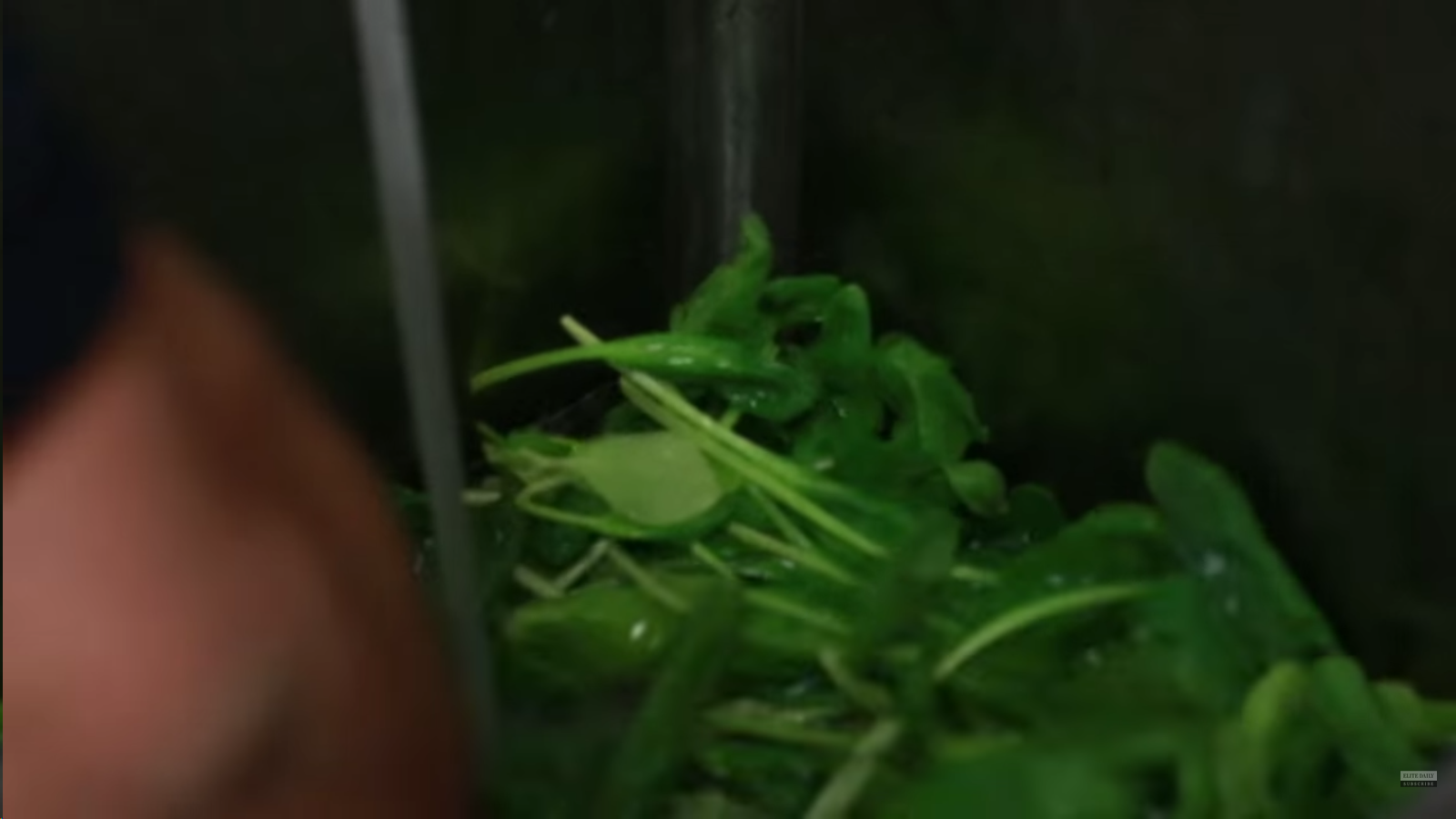 Screenshot 2015-09-01 23.21.09