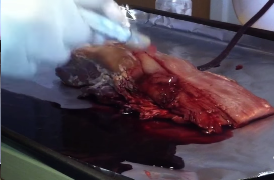 Screenshot 2015-09-08 00.07.41