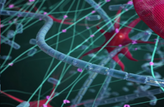 Screenshot 2015-09-08 00.08.08