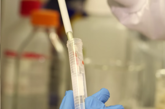 Screenshot 2015-09-08 00.08.16