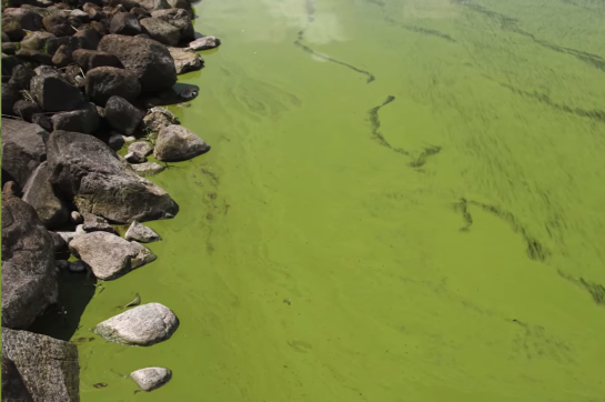 Screenshot 2015-09-08 00.08.25