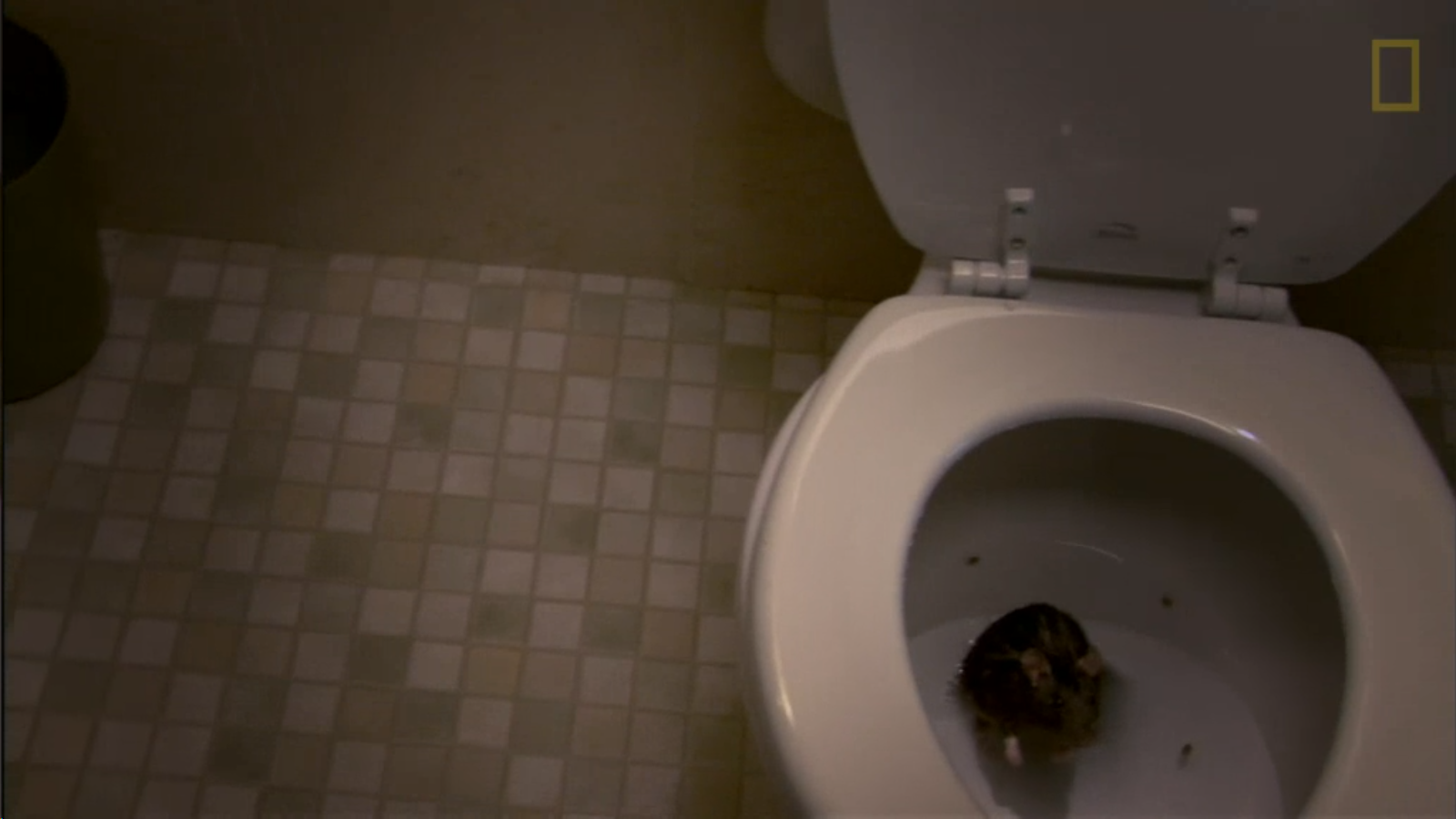 Screenshot 2015-09-08 23.11.30