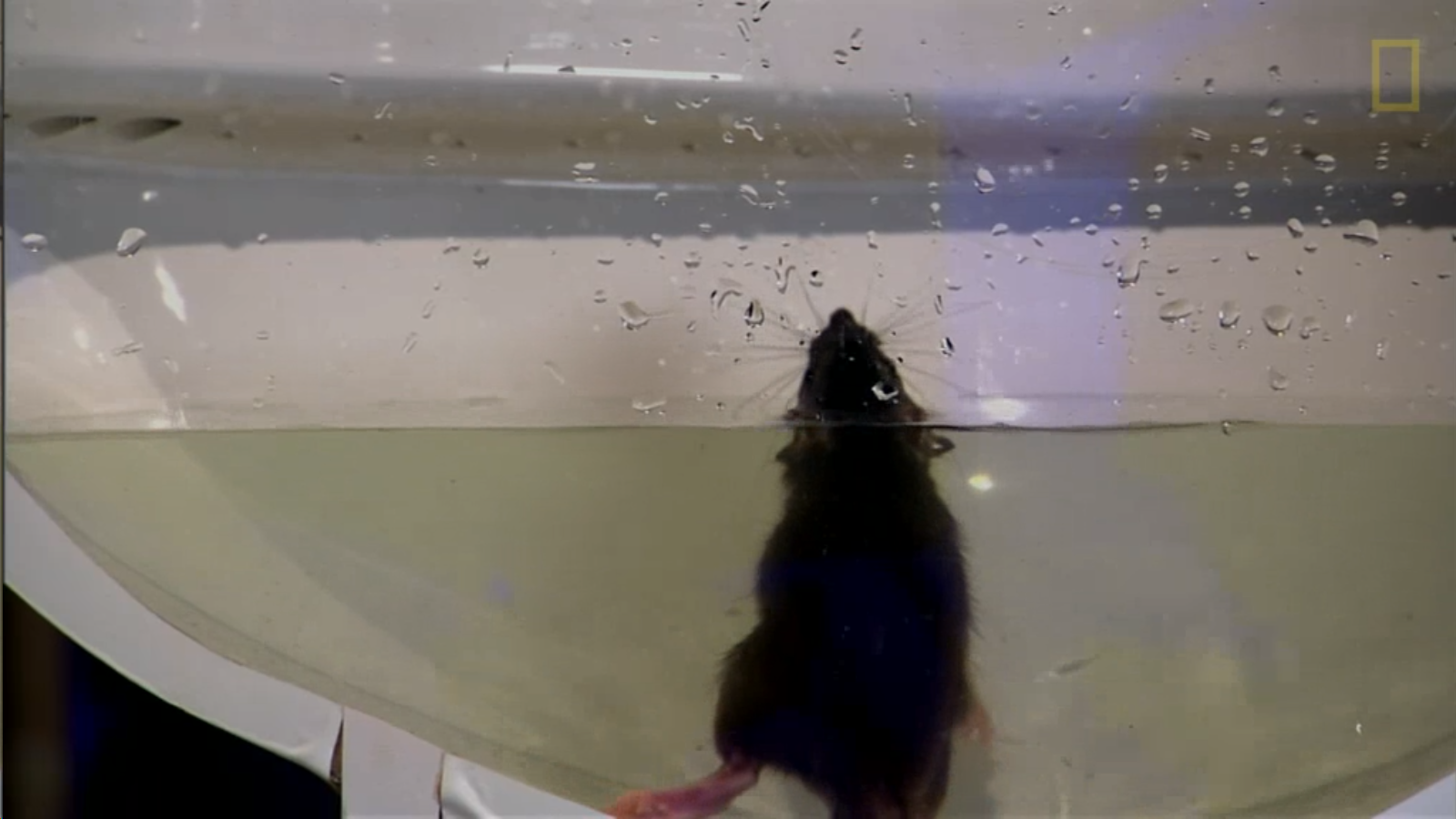 Screenshot 2015-09-08 23.12.31