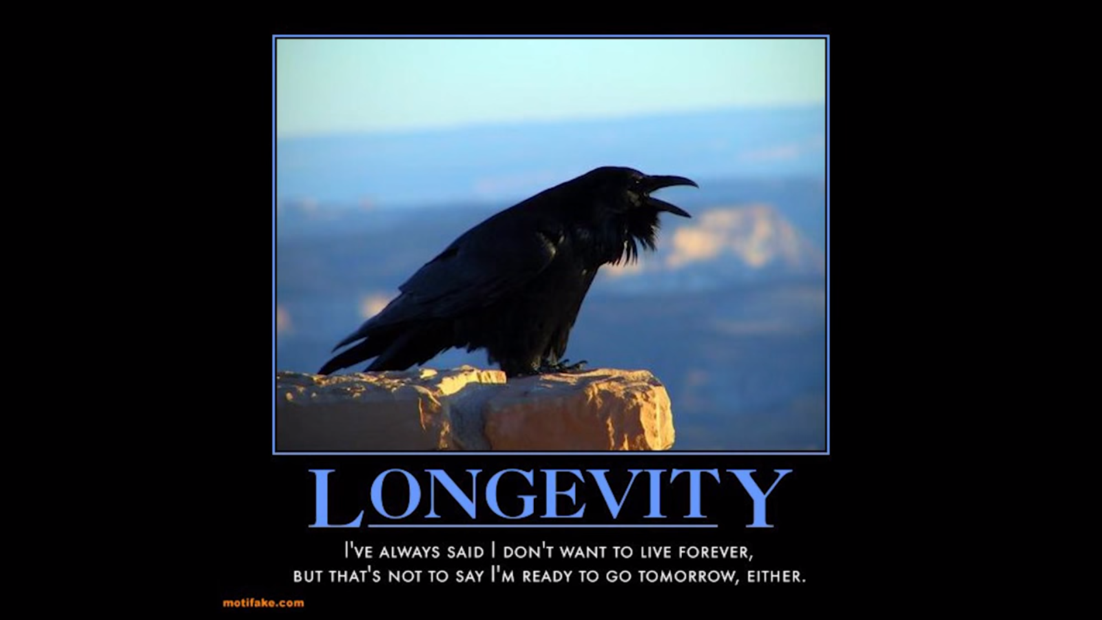 Screenshot 2016-01-13 01.26.05