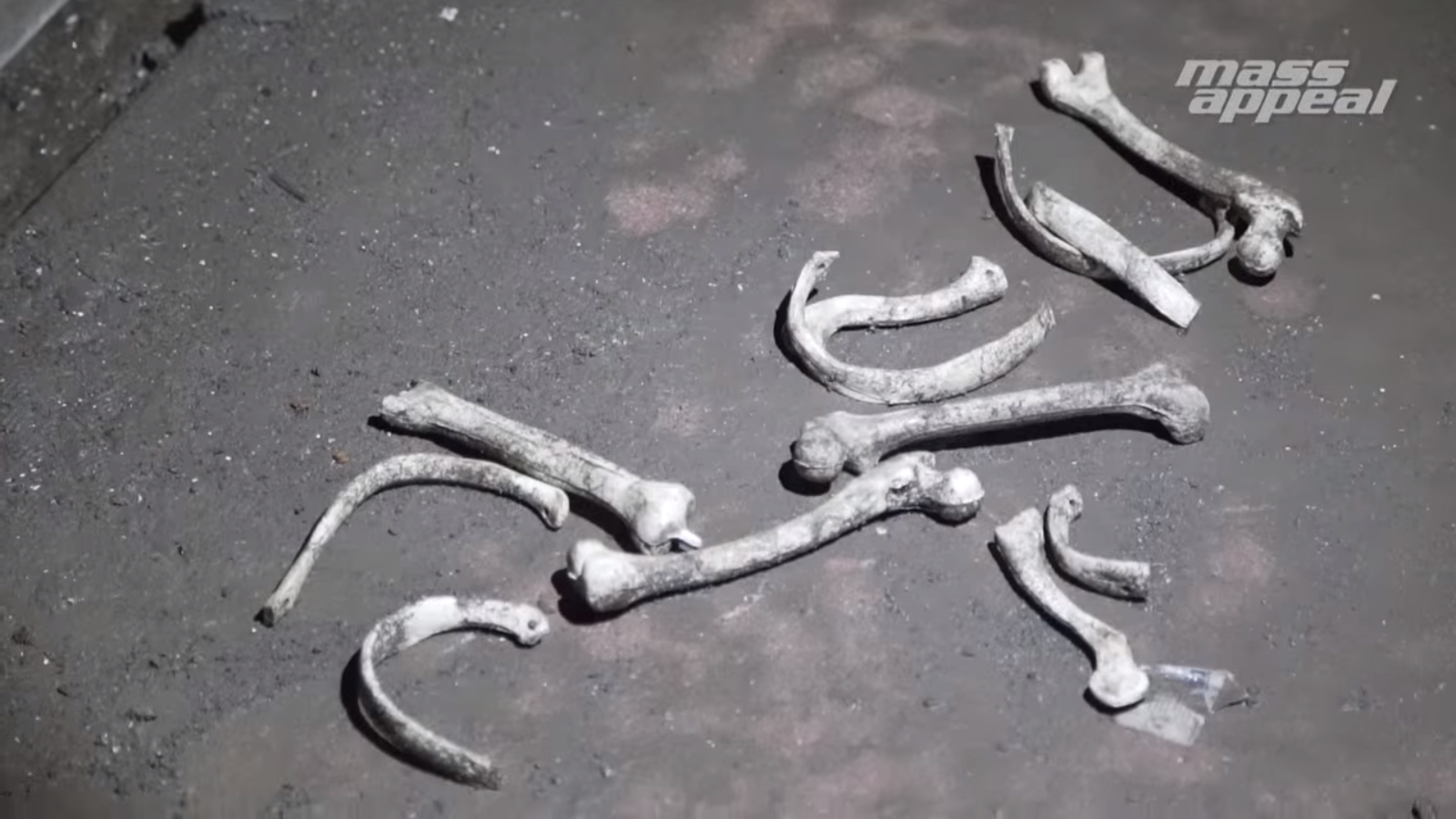 Screenshot 2016-01-23 10.44.50