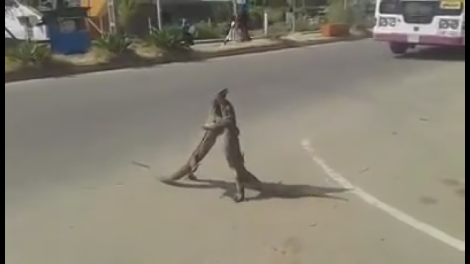 Screenshot 2016-01-29 07.52.56