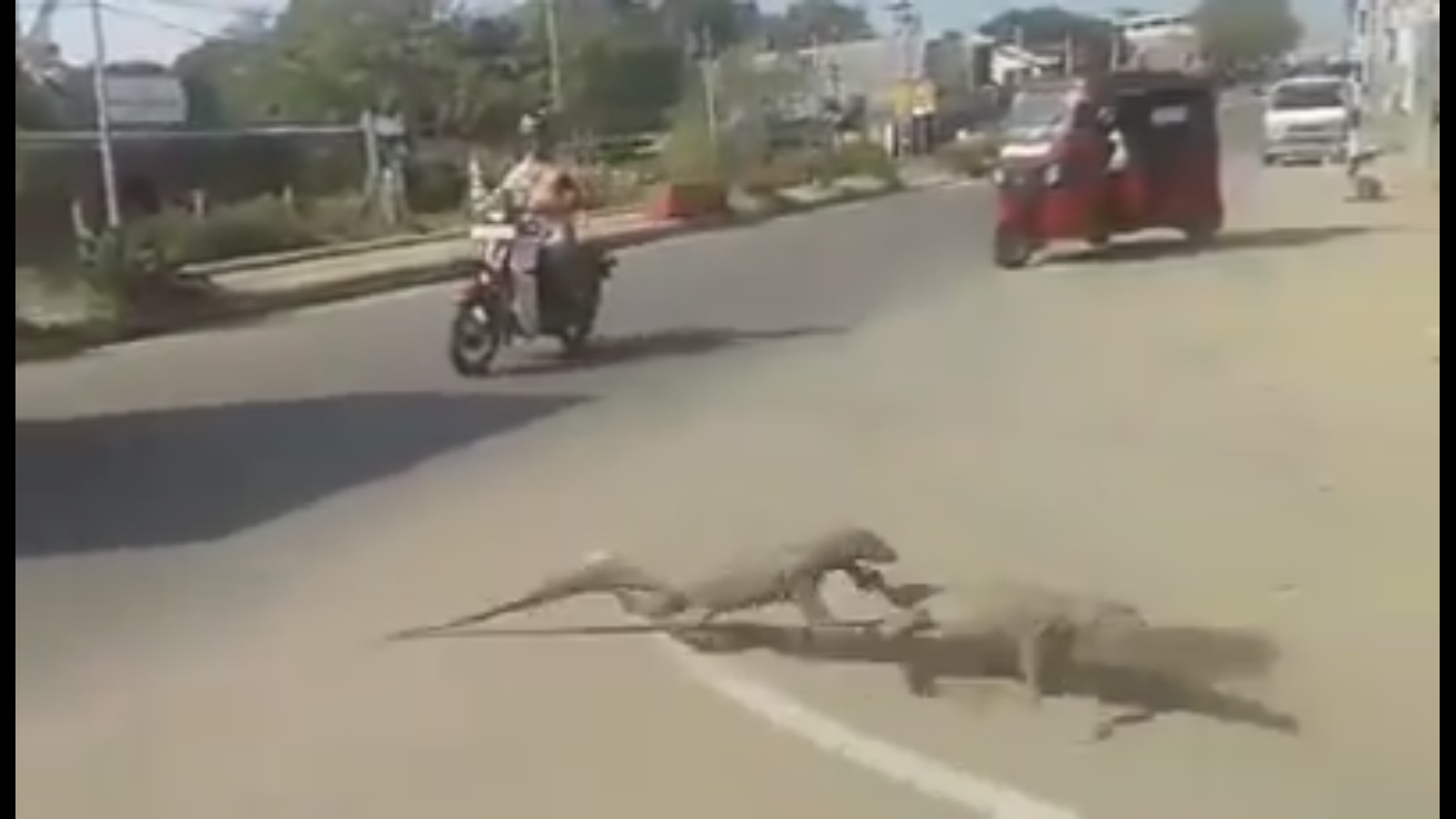 Screenshot 2016-01-29 07.53.25