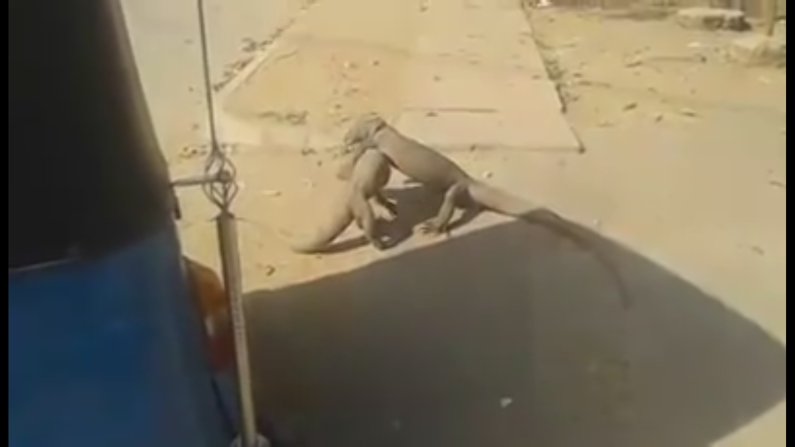 Screenshot 2016-01-29 07.54.05