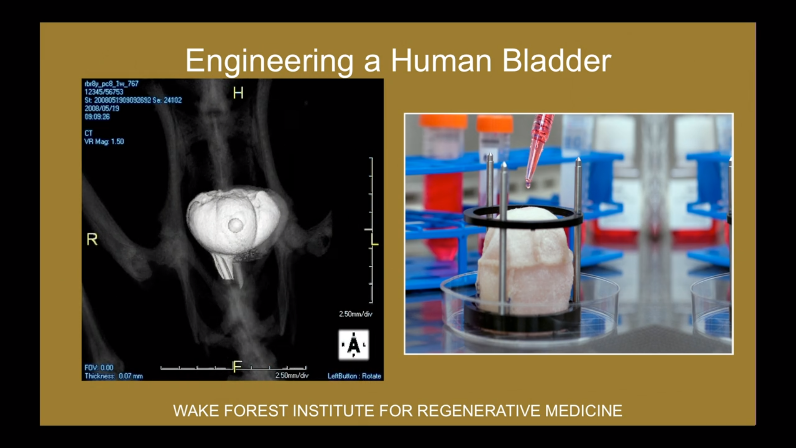 Screenshot 2016-02-19 02.35.19