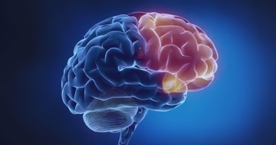 Screenshot 2016-03-04 06.49.15