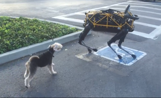 Screenshot 2016-03-14 00.19.58