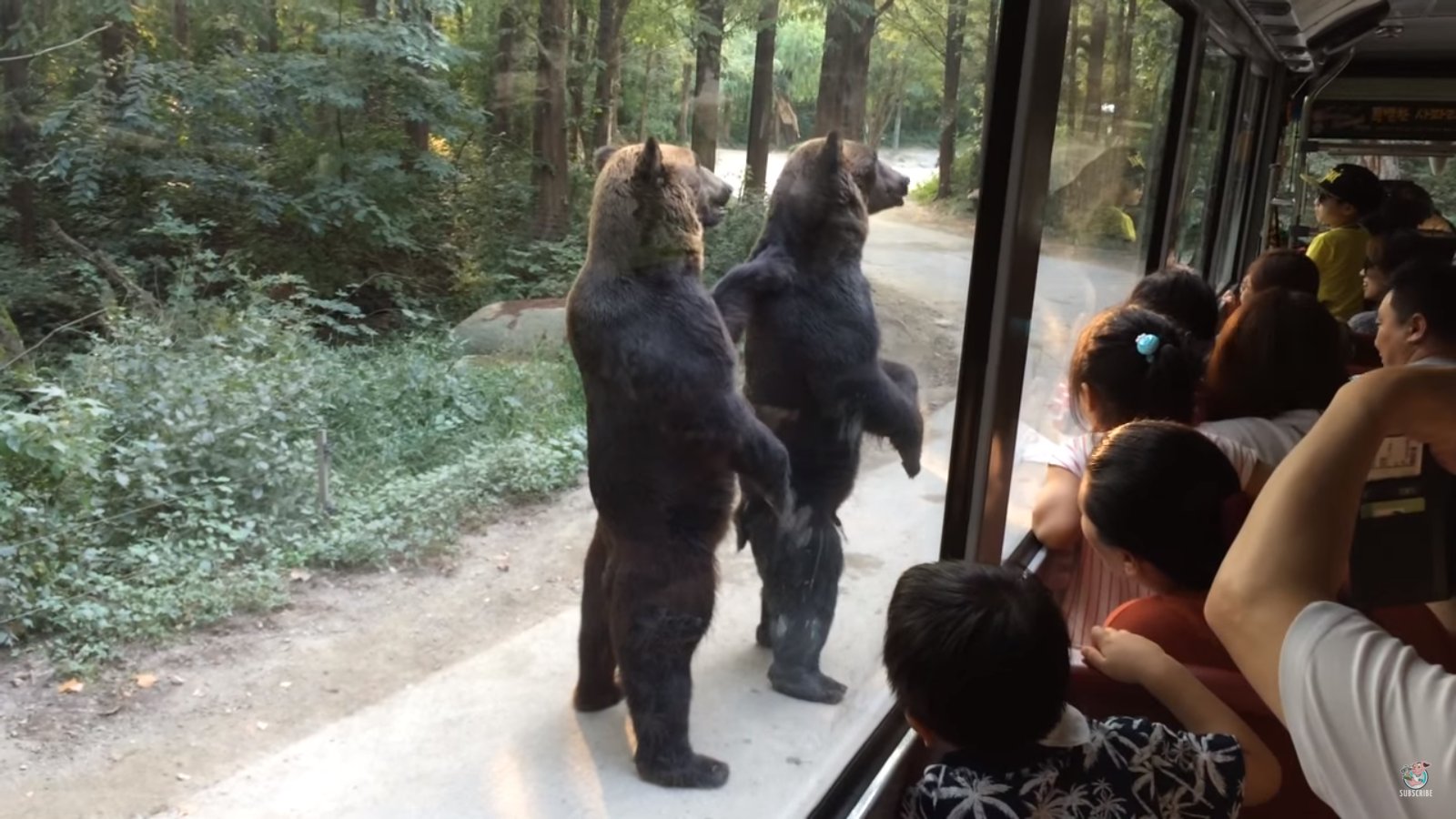 Screenshot 2016-04-21 06.31.56