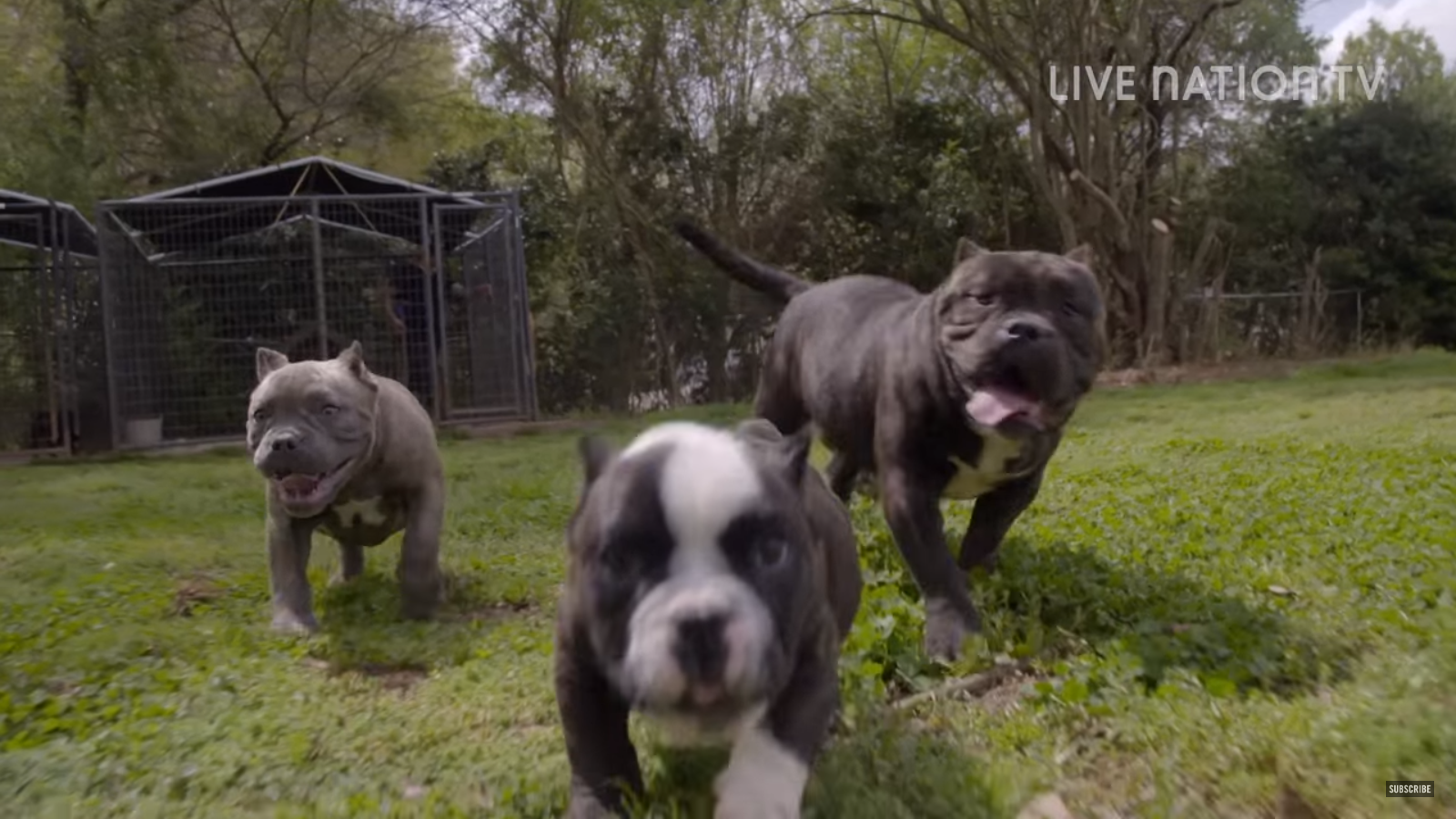 Screenshot 2016-06-19 22.56.39