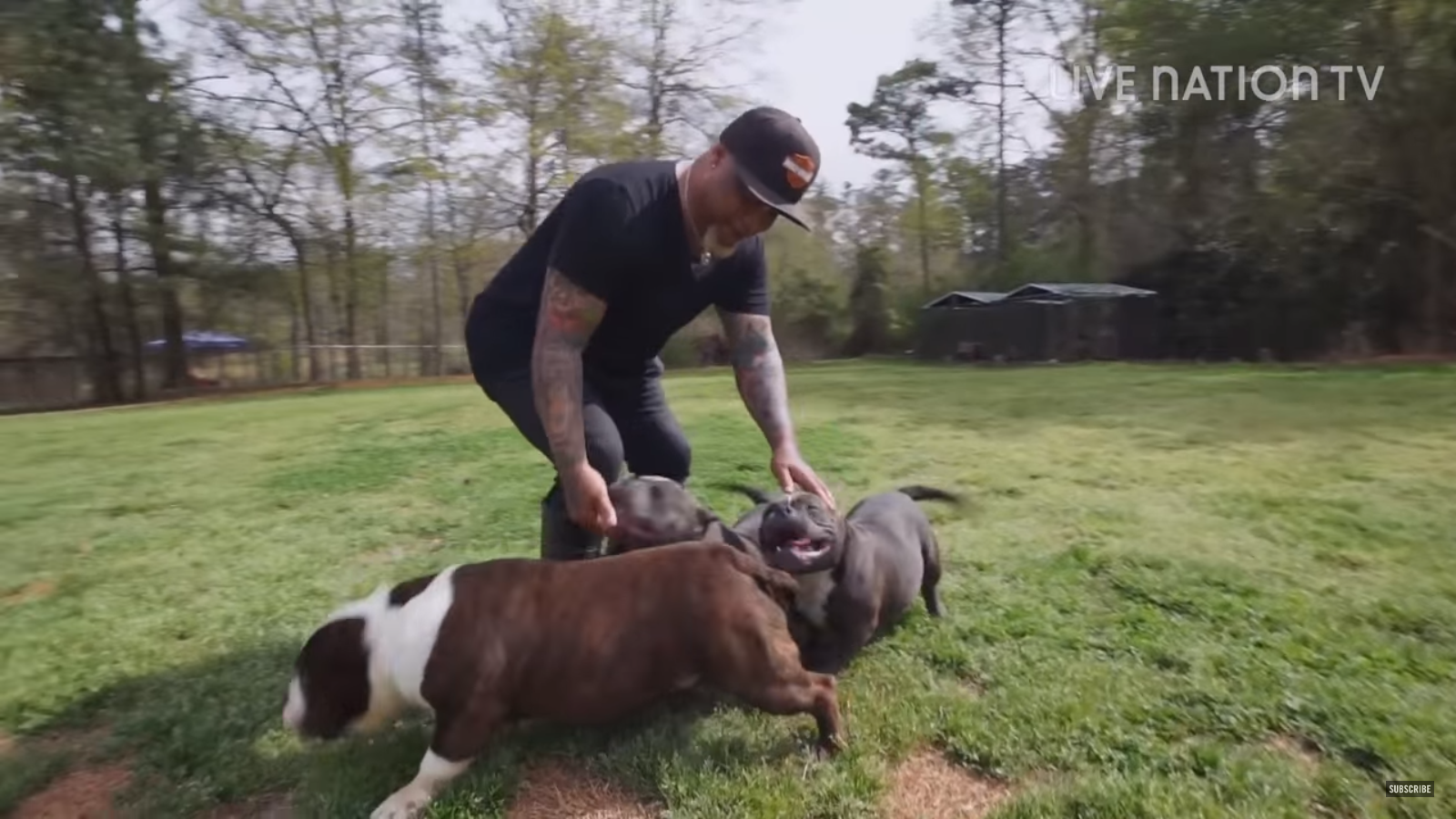 Screenshot 2016-06-19 22.57.23