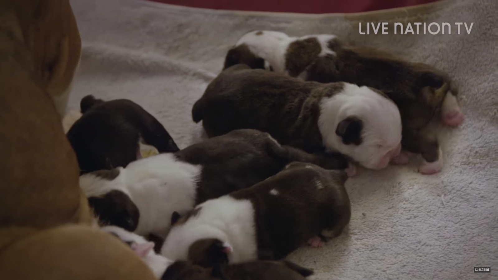 Screenshot 2016-06-19 22.58.54